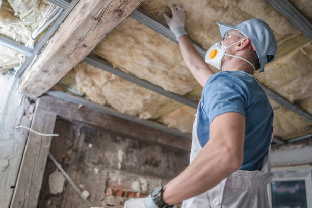 Types of Insulation We Offer in Lakeview, WA