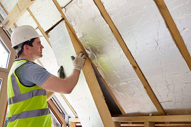 Best Cellulose Insulation in Lakeview, WA