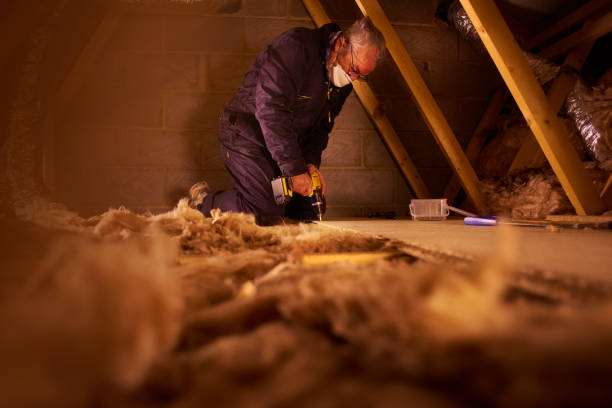 Best Eco-Friendly Insulation in Lakeview, WA